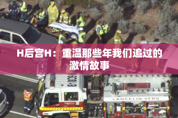 H后宫H：重温那些年我们追过的激情故事