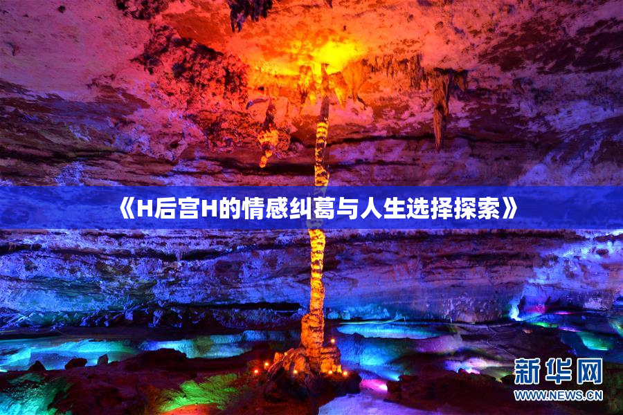 《H后宫H的情感纠葛与人生选择探索》