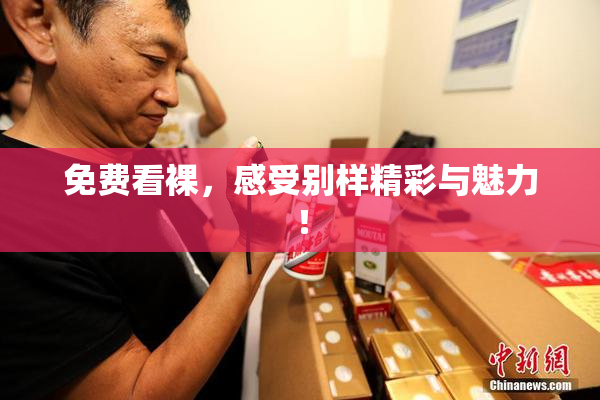 免费看裸，感受别样精彩与魅力！