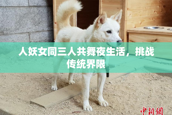人妖女同三人共舞夜生活，挑战传统界限