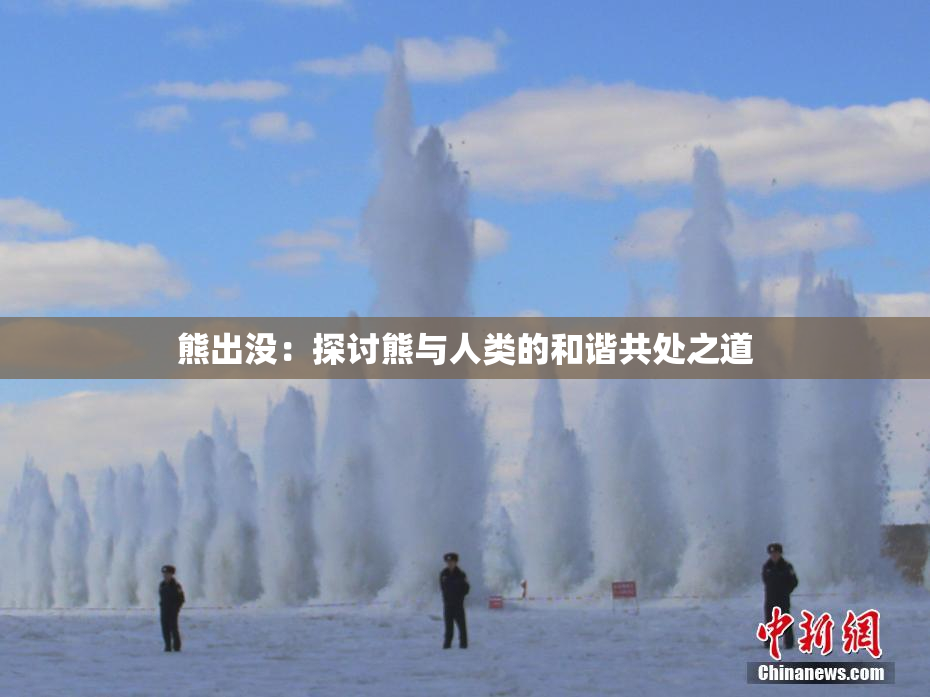熊出没：探讨熊与人类的和谐共处之道