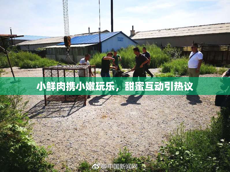小鲜肉携小嫩玩乐，甜蜜互动引热议