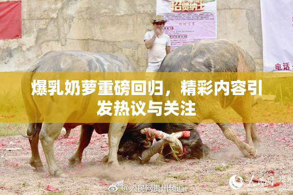 爆乳奶萝重磅回归，精彩内容引发热议与关注