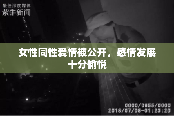 女性同性爱情被公开，感情发展十分愉悦