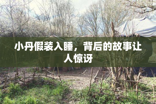 小丹假装入睡，背后的故事让人惊讶