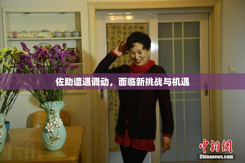 佐助遭遇调动，面临新挑战与机遇