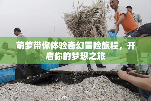 萌萝带你体验奇幻冒险旅程，开启你的梦想之旅