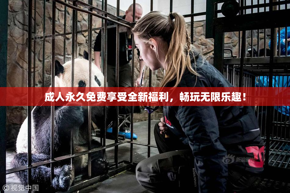 成人永久免费享受全新福利，畅玩无限乐趣！