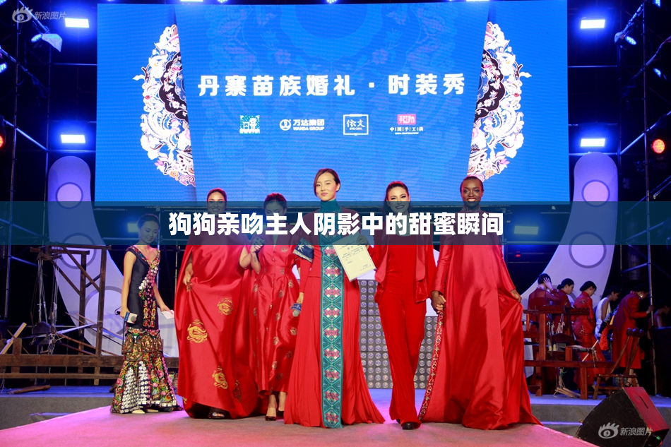 狗狗亲吻主人阴影中的甜蜜瞬间