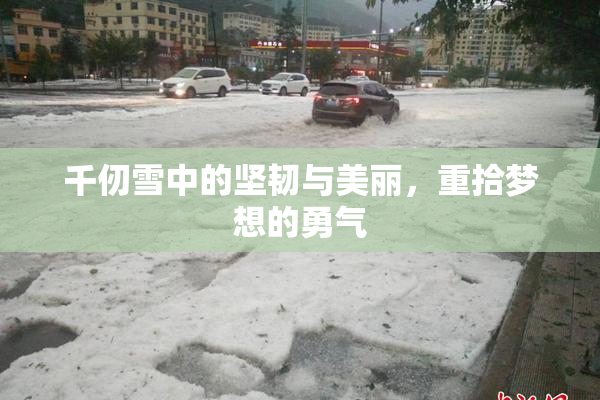 千仞雪中的坚韧与美丽，重拾梦想的勇气