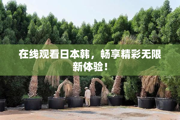 在线观看日本韩，畅享精彩无限新体验！