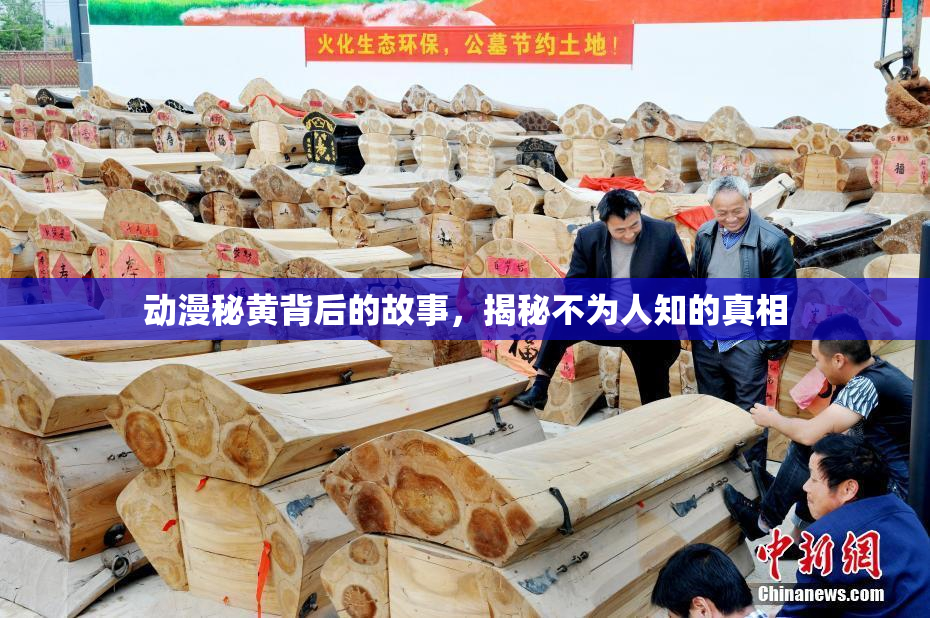 动漫秘黄背后的故事，揭秘不为人知的真相