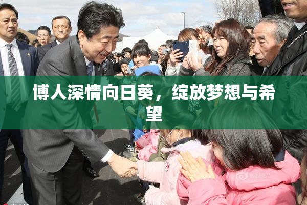 博人深情向日葵，绽放梦想与希望