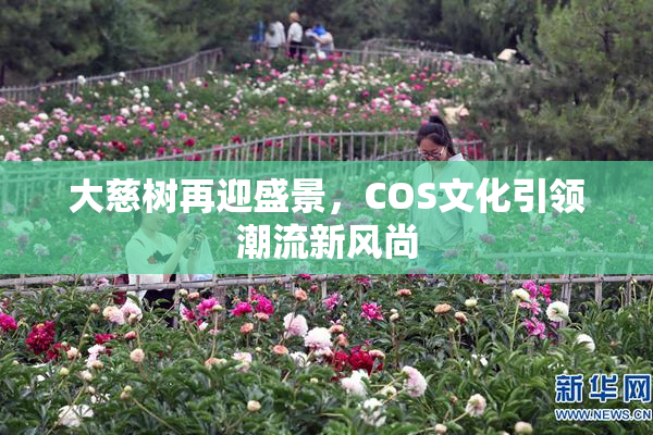 大慈树再迎盛景，COS文化引领潮流新风尚