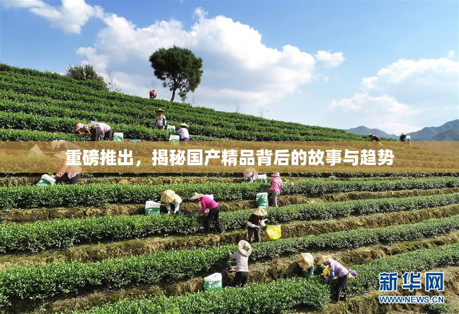 重磅推出，揭秘国产精品背后的故事与趋势