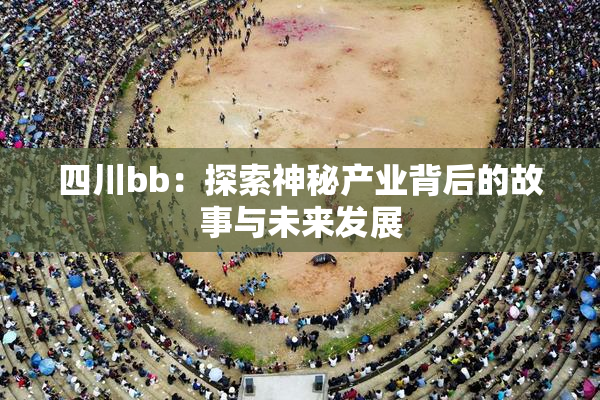 四川bb：探索神秘产业背后的故事与未来发展