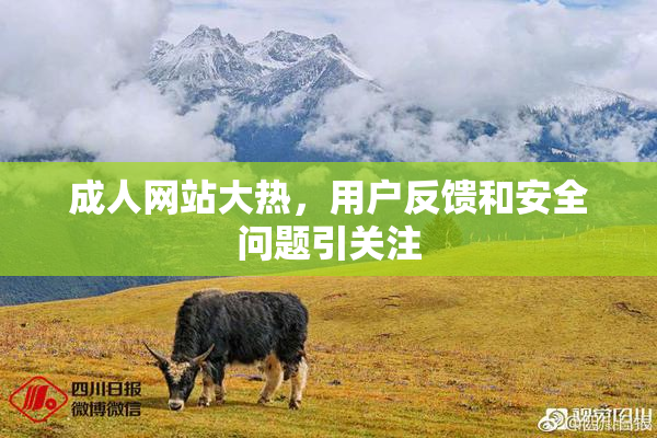 成人网站大热，用户反馈和安全问题引关注