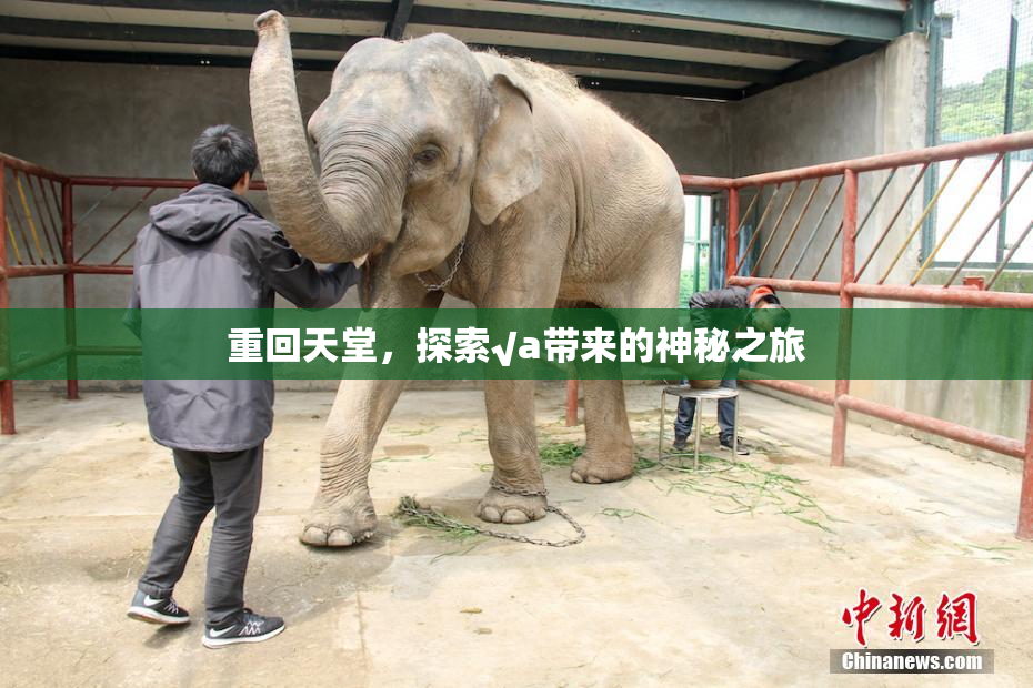 重回天堂，探索√a带来的神秘之旅