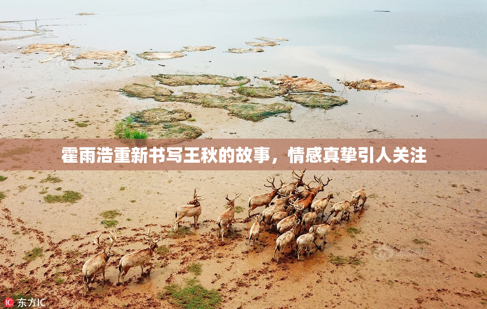 霍雨浩重新书写王秋的故事，情感真挚引人关注