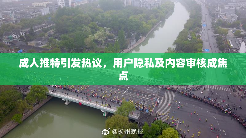 成人推特引发热议，用户隐私及内容审核成焦点