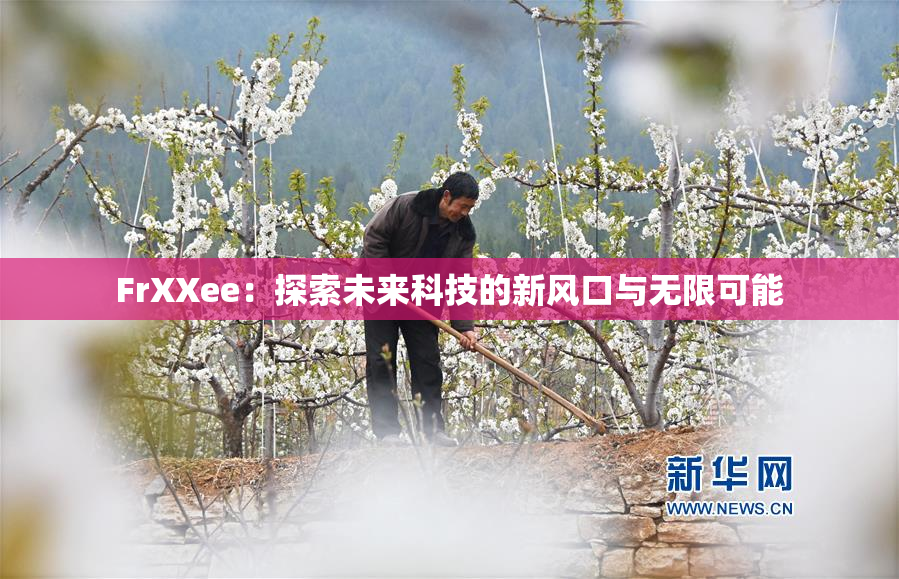 FrXXee：探索未来科技的新风口与无限可能