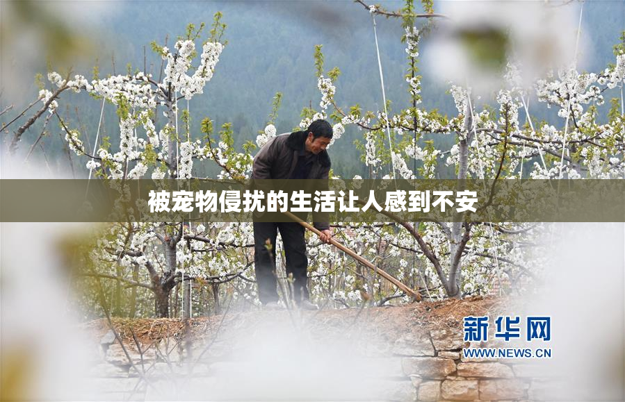 被宠物侵扰的生活让人感到不安