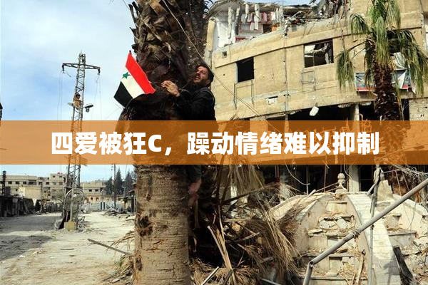 四爱被狂C，躁动情绪难以抑制