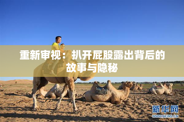 重新审视：扒开屁股露出背后的故事与隐秘