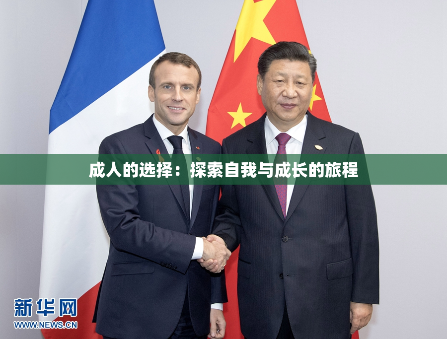 成人的选择：探索自我与成长的旅程