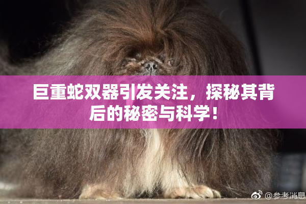 巨重蛇双器引发关注，探秘其背后的秘密与科学！