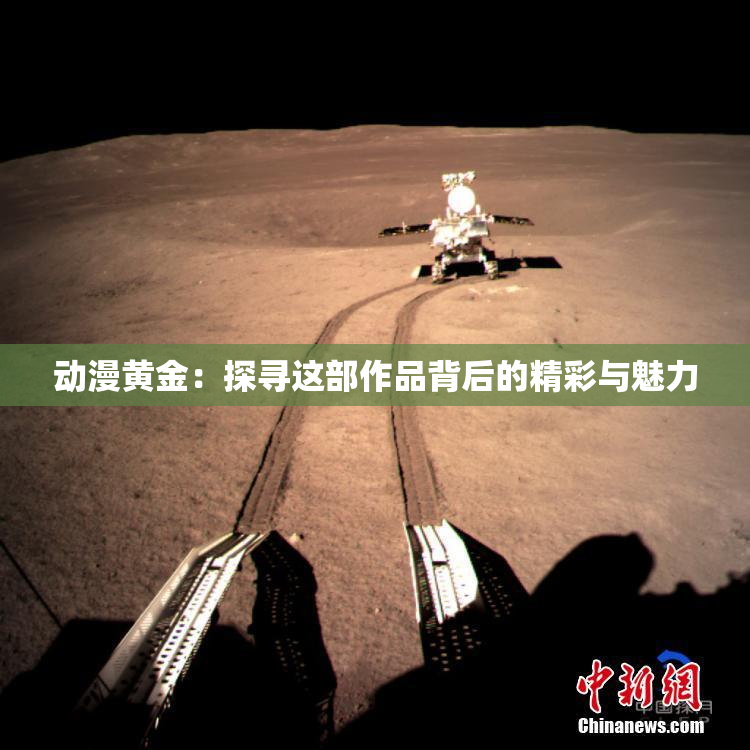 动漫黄金：探寻这部作品背后的精彩与魅力