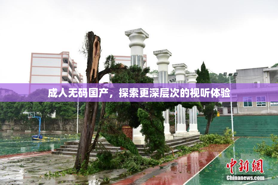 成人无码国产，探索更深层次的视听体验