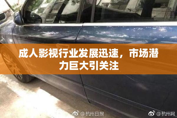 成人影视行业发展迅速，市场潜力巨大引关注