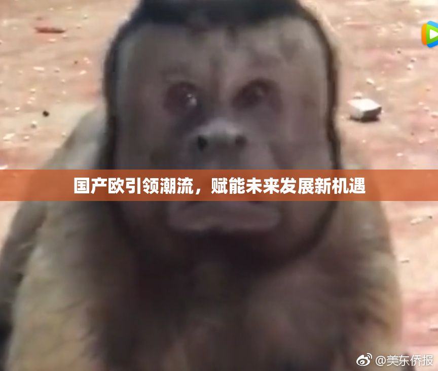 国产欧引领潮流，赋能未来发展新机遇