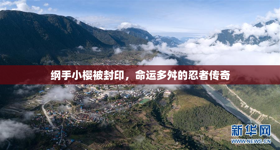 纲手小樱被封印，命运多舛的忍者传奇