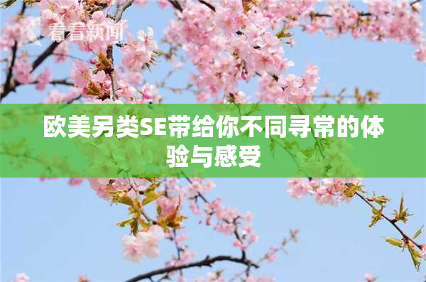 欧美另类SE带给你不同寻常的体验与感受