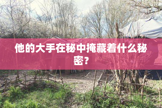 他的大手在秘中掩藏着什么秘密？