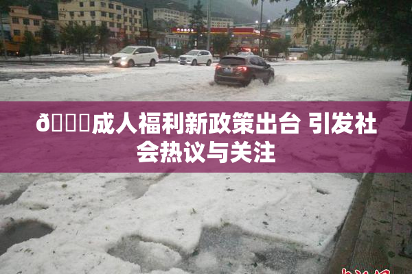 🔞成人福利新政策出台 引发社会热议与关注