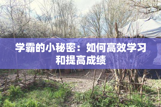 学霸的小秘密：如何高效学习和提高成绩
