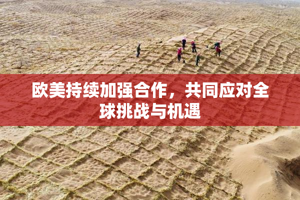 欧美持续加强合作，共同应对全球挑战与机遇