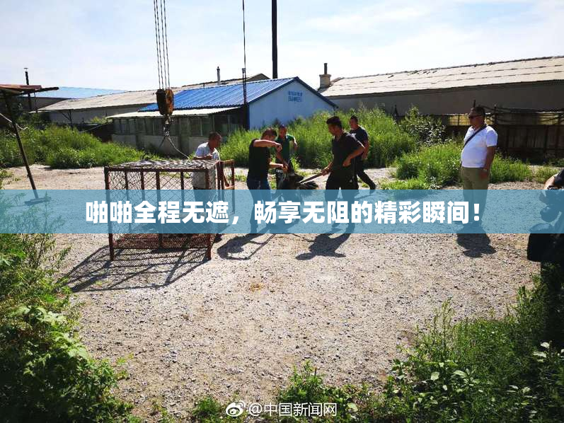 啪啪全程无遮，畅享无阻的精彩瞬间！