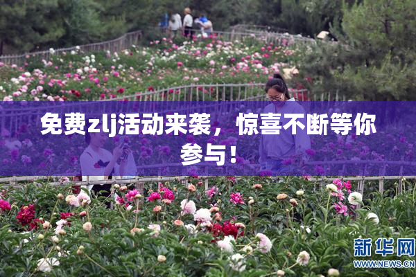 免费zlj活动来袭，惊喜不断等你参与！