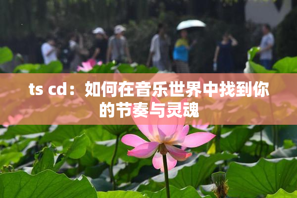 ts cd：如何在音乐世界中找到你的节奏与灵魂