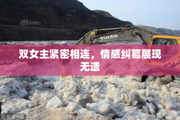 双女主紧密相连，情感纠葛展现无遗