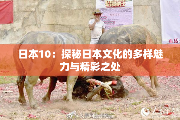 日本10：探秘日本文化的多样魅力与精彩之处