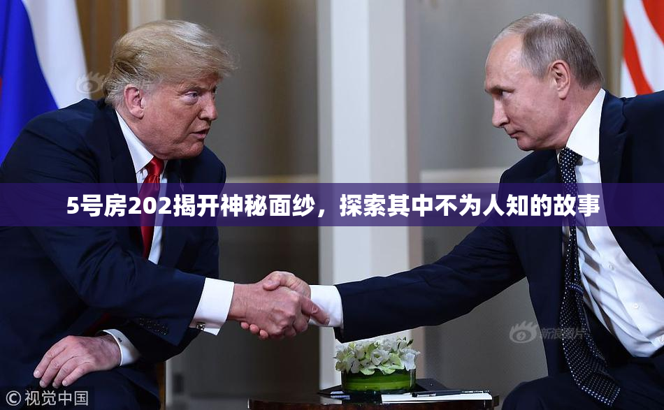 5号房202揭开神秘面纱，探索其中不为人知的故事