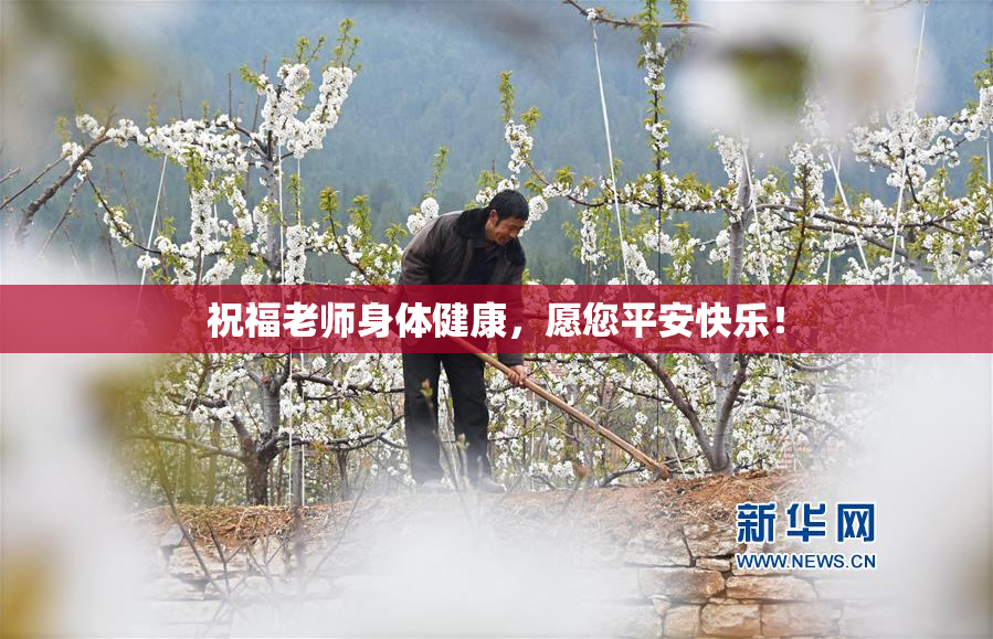 祝福老师身体健康，愿您平安快乐！
