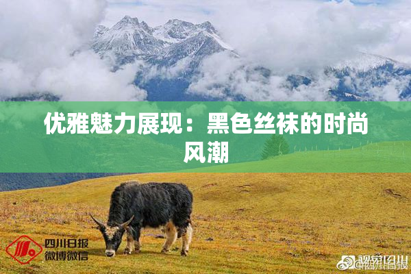 优雅魅力展现：黑色丝袜的时尚风潮