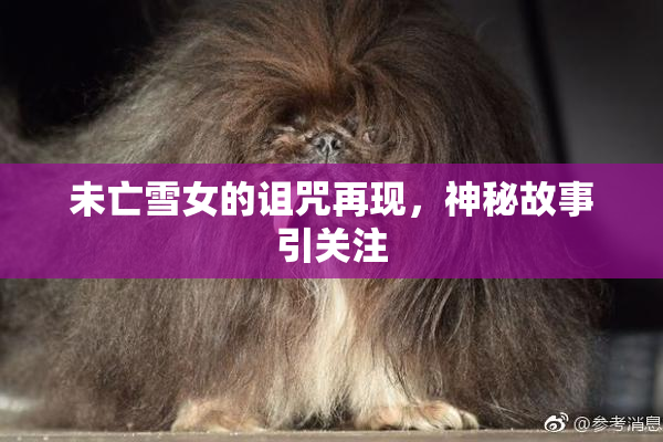 未亡雪女的诅咒再现，神秘故事引关注