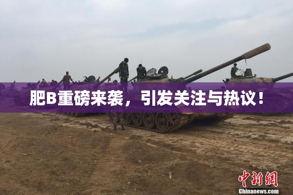肥B重磅来袭，引发关注与热议！